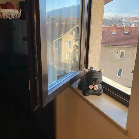 Apartament студио за гости петрови