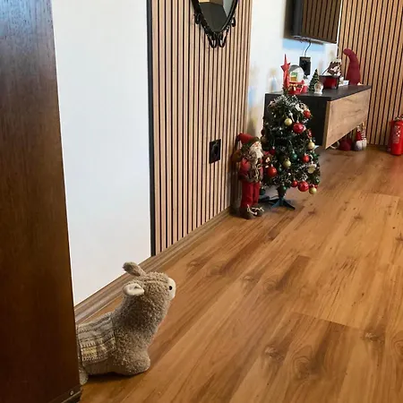 Apartament студио за гости петрови *