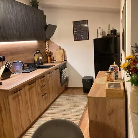 Apartment студио за гости петрови
