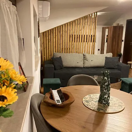 Apartment студио за гости петрови