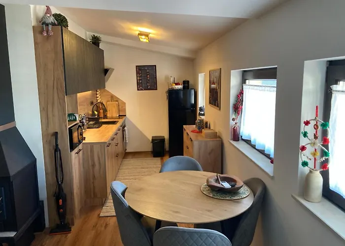 Apartamento студио за гости петрови