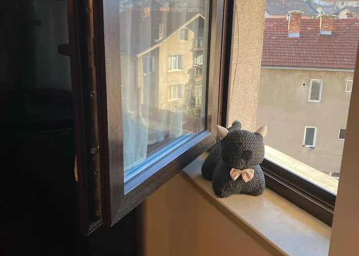 Apartamento студио за гости петрови