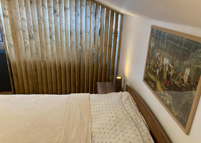 Apartamento студио за гости петрови