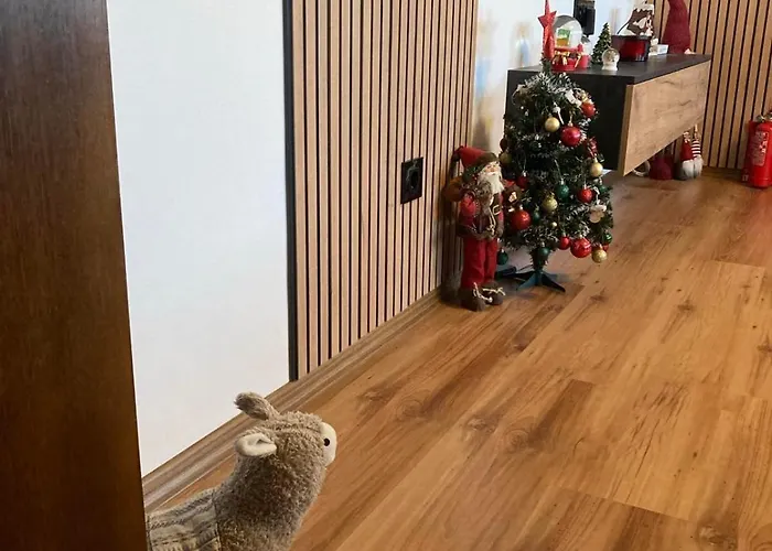 Apartamento студио за гости петрови *