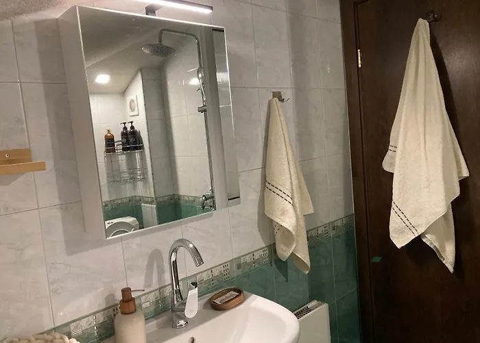 Apartamento студио за гости петрови *